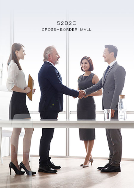S2B2C跨境商城